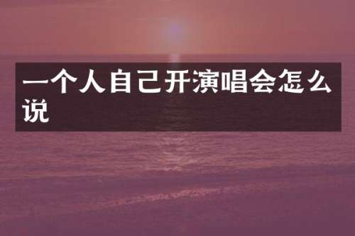 一个人自己开演唱会怎么说