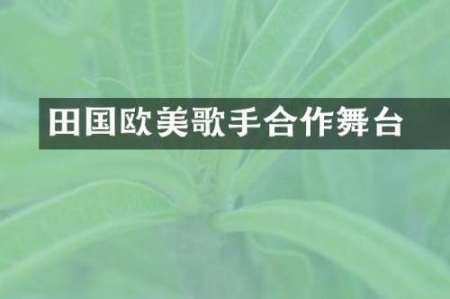 田柾国欧美歌手合作舞台
