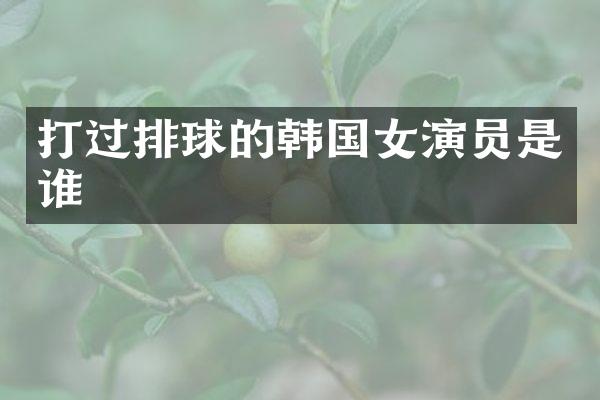 打过排球的韩国女演员是谁