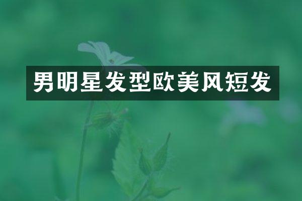 男明星发型欧美风短发