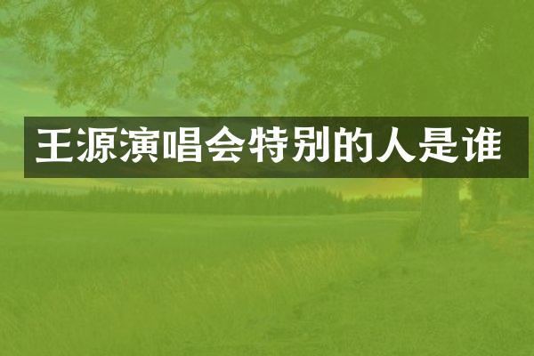 王源演唱会特别的人是谁
