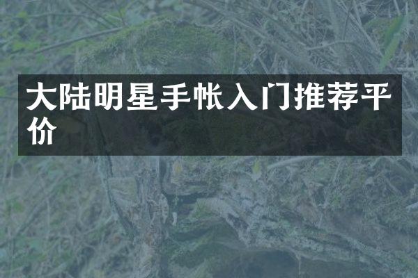 大陆明星手帐入门推荐平价