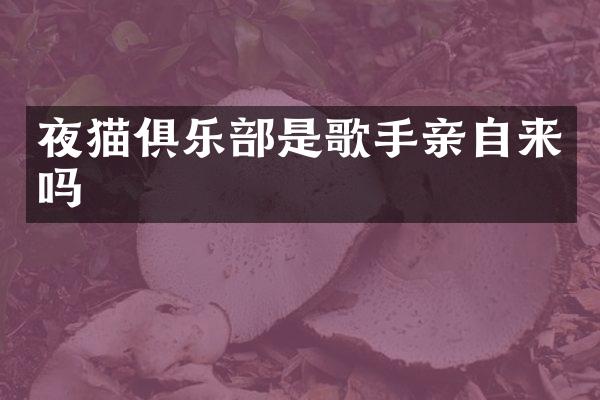 夜猫俱乐部是歌手亲自来吗