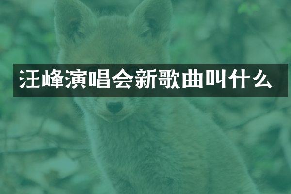 汪峰演唱会新歌曲叫什么