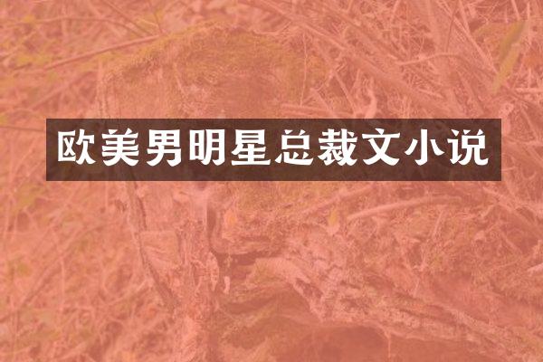 欧美男明星总裁文小说