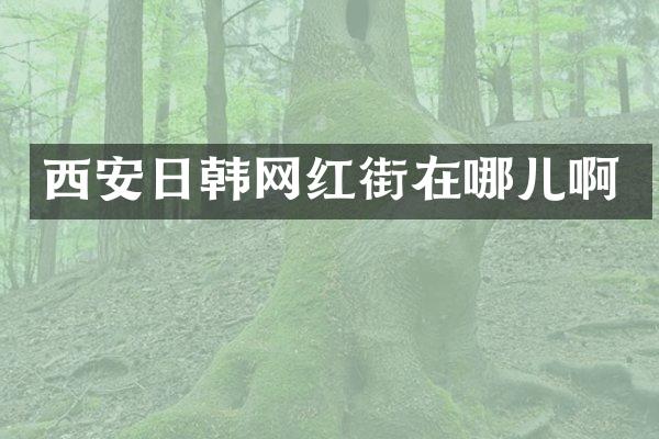 西安日韩网红街在哪儿啊