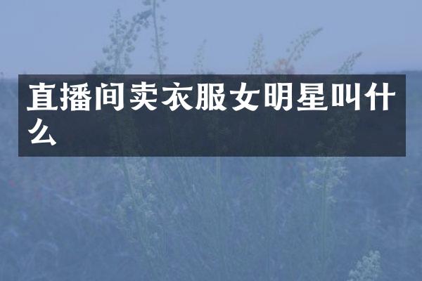直播间卖衣服女明星叫什么