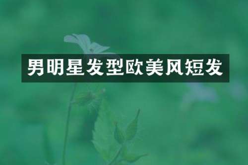 男明星发型欧美风短发