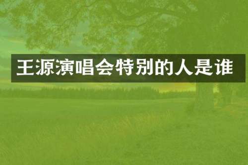 王源演唱会特别的人是谁