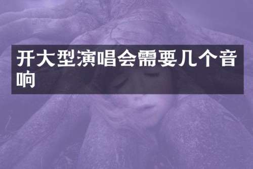 开大型演唱会需要几个音响