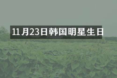 11月23日韩国明星生日