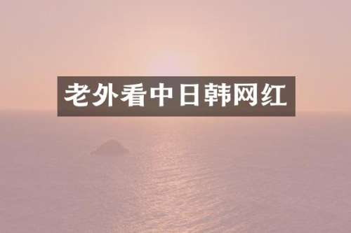 老外看中日韩网红