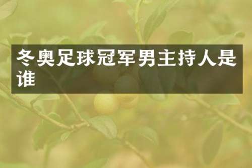 冬奥足球冠军男主持人是谁