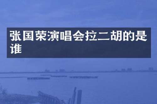 张国荣演唱会拉二胡的是谁
