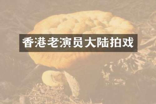 香港老演员大陆拍戏