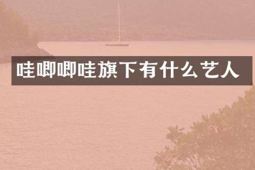 哇唧唧哇旗下有什么艺人