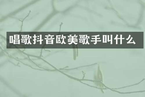 唱歌抖音欧美歌手叫什么
