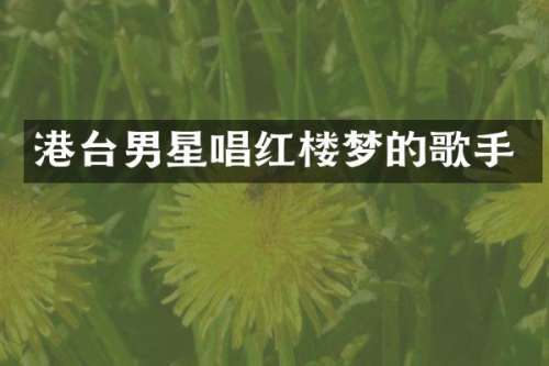 港台男星唱红楼梦的歌手