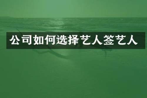 公司如何选择艺人签艺人