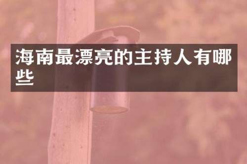 海南最漂亮的主持人有哪些