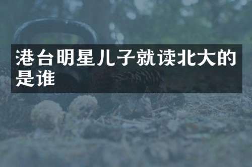 港台明星儿子就读北大的是谁