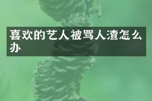喜欢的艺人被骂人渣怎么办