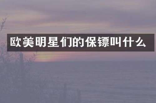 欧美明星们的保镖叫什么