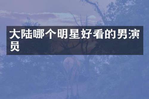 大陆哪个明星好看的男演员
