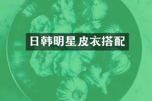 日韩明星皮衣搭配