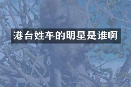 港台姓车的明星是谁啊