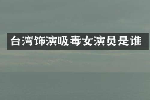 台湾饰演吸毒女演员是谁