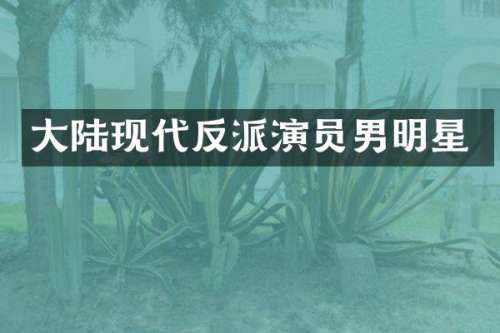 大陆现代反派演员男明星
