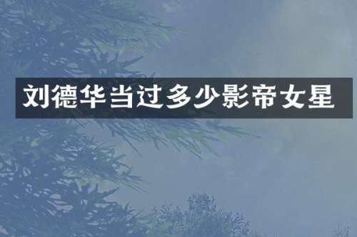 刘德华当过多少影帝女星