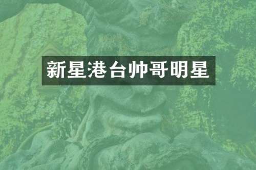 新星港台帅哥明星