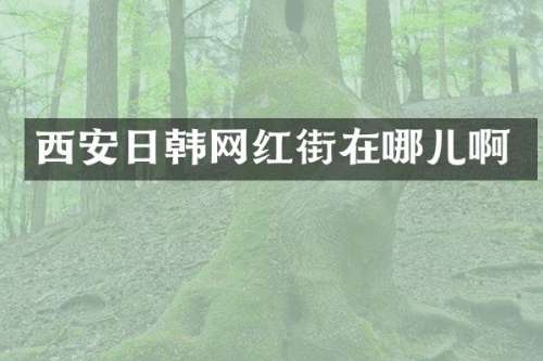 西安日韩网红街在哪儿啊