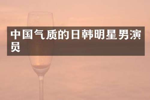 中国气质的日韩明星男演员