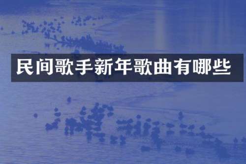 民间歌手新年歌曲有哪些
