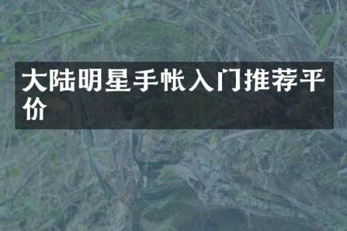 大陆明星手帐入门推荐平价