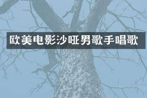 欧美电影沙哑男歌手唱歌