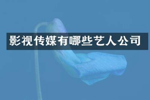影视传媒有哪些艺人公司