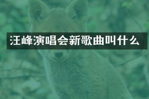 汪峰演唱会新歌曲叫什么