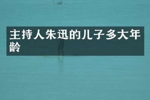 主持人朱迅的儿子多大年龄