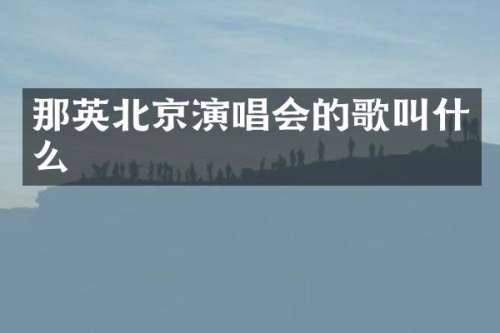 那英北京演唱会的歌叫什么