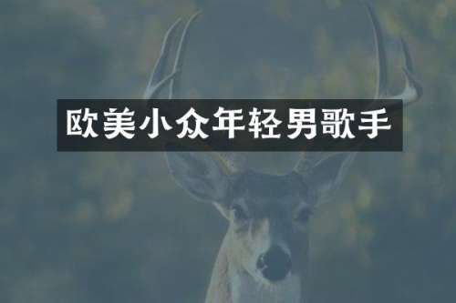 欧美小众年轻男歌手
