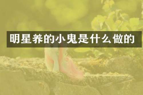 明星养的小鬼是什么做的