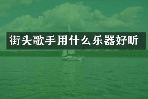 街头歌手用什么乐器好听