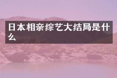 日本相亲综艺大结局是什么