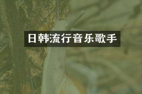 日韩流行音乐歌手