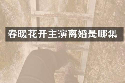 春暖花开主演离婚是哪集