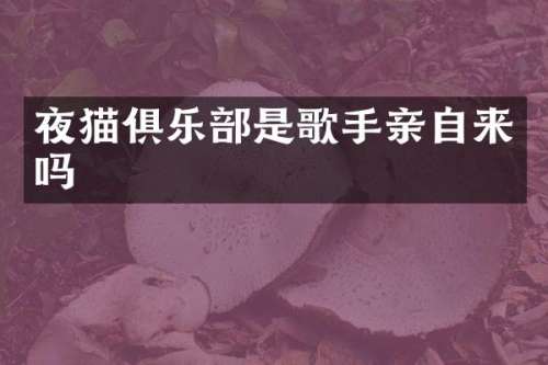 夜猫俱乐部是歌手亲自来吗
